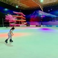 Sub Zero Ice Skate