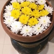 ปัญจาสปา