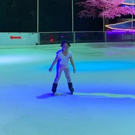 Sub Zero Ice Skate