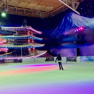 Sub Zero Ice Skate
