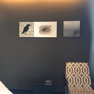 ทีซิกซ์ไฟว์ ฟีนอมินัล