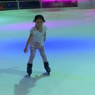 Sub Zero Ice Skate