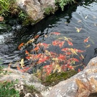 Inthanin Coffee 346 บางเค็ม