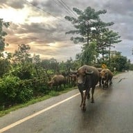 บรรยากาศ สะดืออีสาน