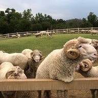 บรรยากาศ Primo Piazza