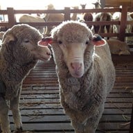 บรรยากาศ Primo Piazza