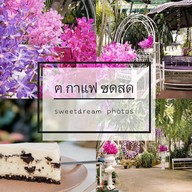 ฅ.กาแฟซดสด