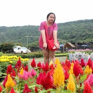 บรรยากาศ ภูเรือ