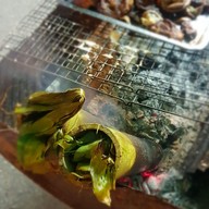 ครัวอารยา