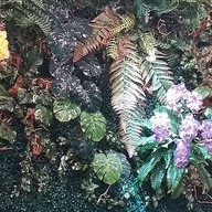 เดอะซิม คาเฟ่