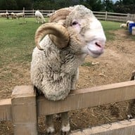 บรรยากาศ Primo Piazza