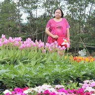บรรยากาศ ภูเรือ