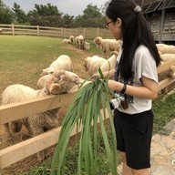 บรรยากาศ Primo Piazza