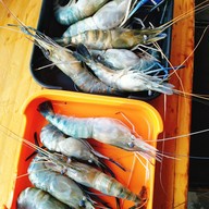 เมนูของร้าน ย่างหมูกระทะ