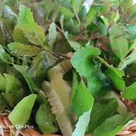 ร้านน้ำเพชร