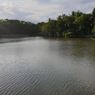 บรรยากาศ คุ้งบางกระเจ้า