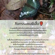 บรรยากาศ อุทยานแห่งชาติทุ่งแสลงหลวง