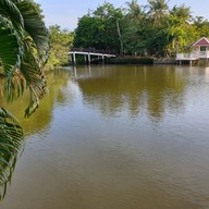 บรรยากาศ คุ้งบางกระเจ้า