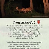 บรรยากาศ อุทยานแห่งชาติทุ่งแสลงหลวง