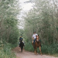 บรรยากาศ O.K.CORRAL