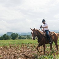 บรรยากาศ O.K.CORRAL