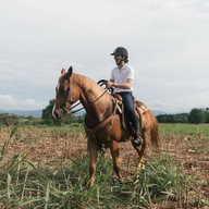 บรรยากาศ O.K.CORRAL