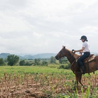 บรรยากาศ O.K.CORRAL