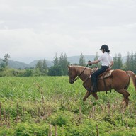 บรรยากาศ O.K.CORRAL