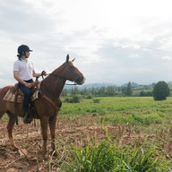 บรรยากาศ O.K.CORRAL