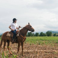 บรรยากาศ O.K.CORRAL