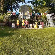 ผึ้งหลวงแคมป์กราวด์