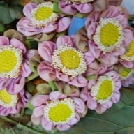 ปากคลองตลาด