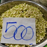 ปากคลองตลาด