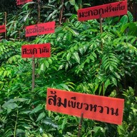 บรรยากาศ ตลาดต้นไม้ศรีนครินทร์