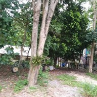 วัดเขาแผงม้า