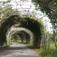 บรรยากาศ บ้านไร่คุณนาย