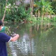 Bike Berry 10 Organic Farm