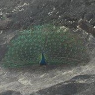 บรรยากาศ วัดถ้ำขาม