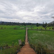 สะพานไม้ 100 ปี