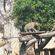 บรรยากาศ สวนสัตว์นครราชสีมา