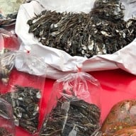 ตลาดเขื่อนเจ้าพระยา