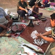 ตลาดเขื่อนเจ้าพระยา