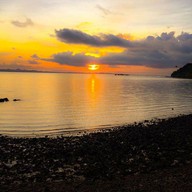 มยุรีสีชมพูรีสอร์ท