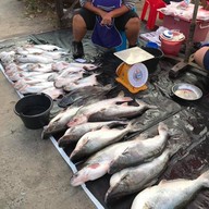 ตลาดเขื่อนเจ้าพระยา