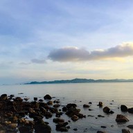 มยุรีสีชมพูรีสอร์ท