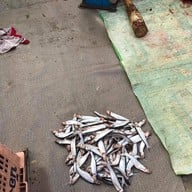 ตลาดเขื่อนเจ้าพระยา