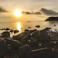 มยุรีสีชมพูรีสอร์ท