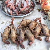 ตลาดเขื่อนเจ้าพระยา