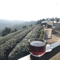 101 Tea Green View Resort