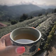 101 Tea Green View Resort